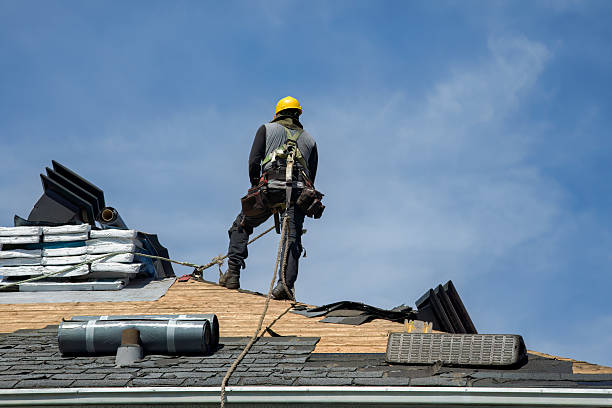 Professional Roof Replacement technician working in Gully, MN